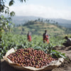 Ethiopia Yirgacheffe Aricha